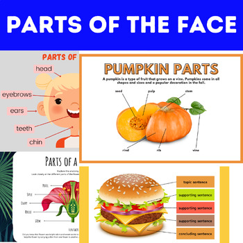 Parts of the Face , Parts of a Flower , Pumpkin Parts , Parts of a Paragraph